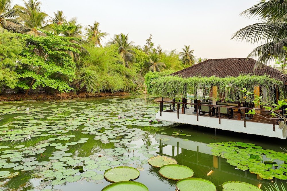 Dindi RVR, on the Godavari, A Club Mahindra Associate Resort photo 2