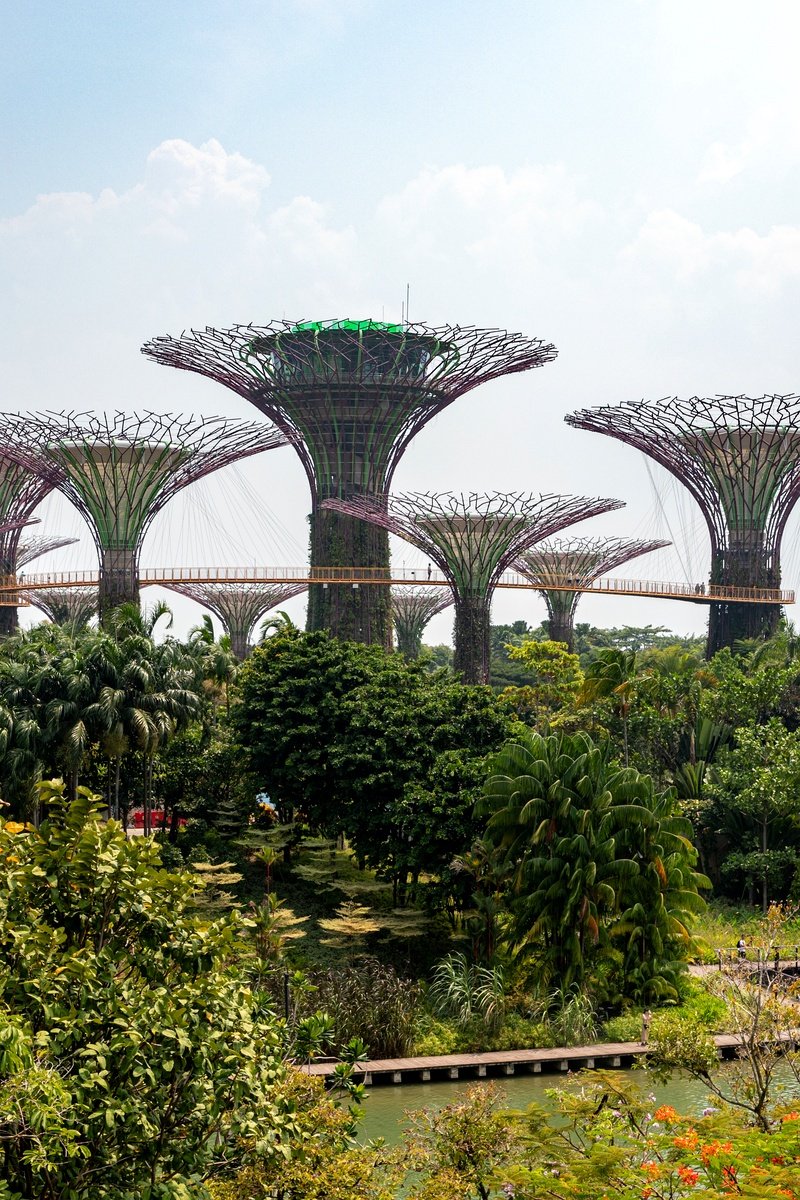 Amazing Singapore Tour